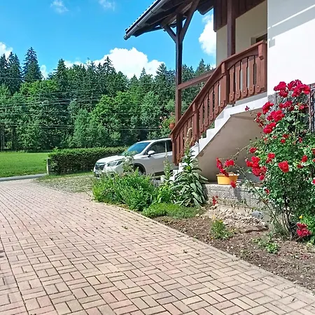 Sylva By Interhome * Rokytnice nad Jizerou